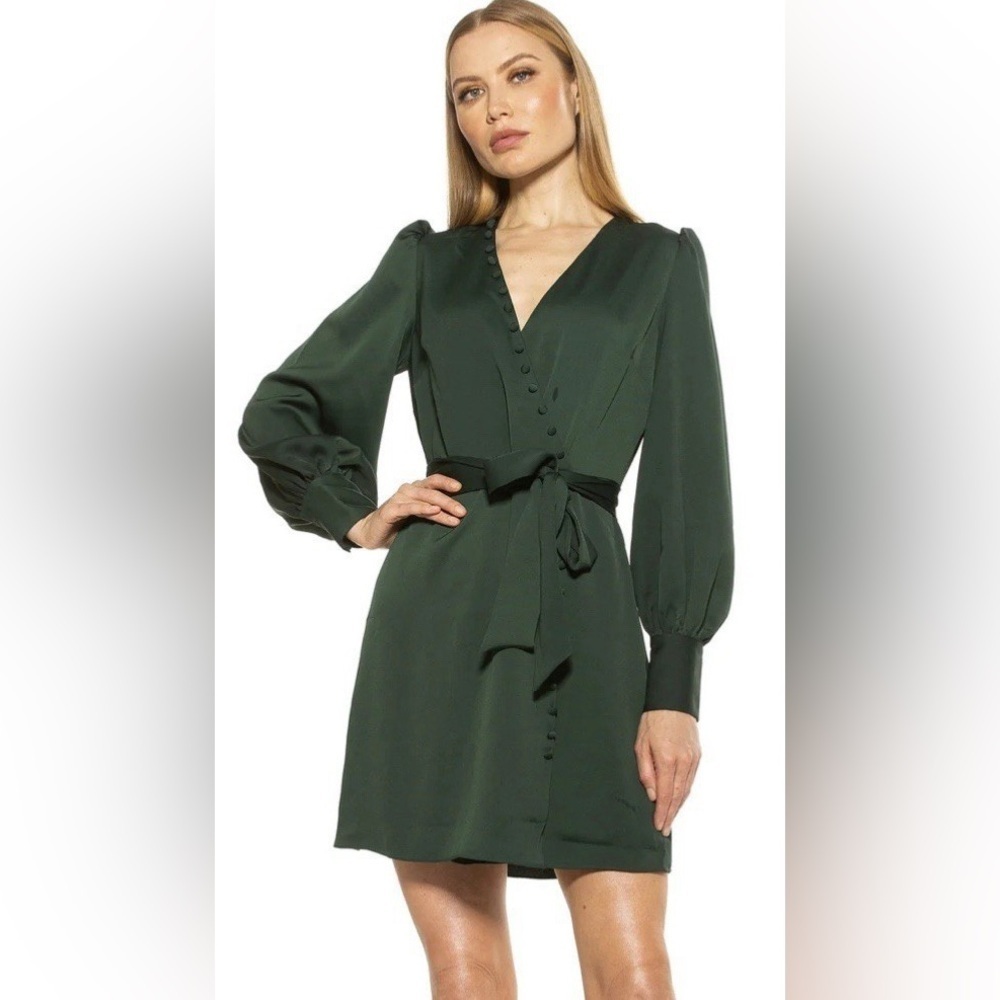 Alexia Admor Arya Dark Green Dress NTW sz 14 $295 NO BELT